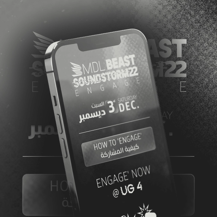 Portfolio Entry: MDLBeast - Soundstorm