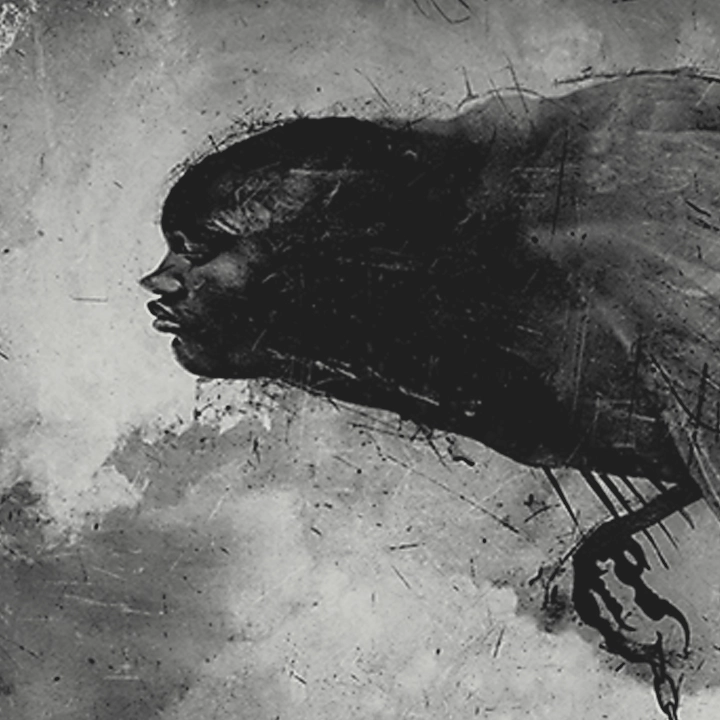 Portfolio Entry: In Three Seconds I’ll Be Gone