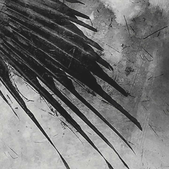 Portfolio Entry: Wherever We Begin to Fall