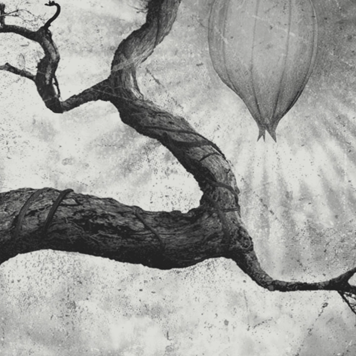 Portfolio Entry: One Thousand Rivers Flowing Further and Further Away