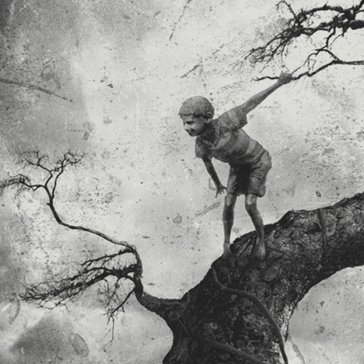 Portfolio Entry: Paper Cuts from Paper Butterflies